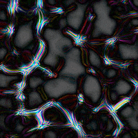 Visionary GIF
