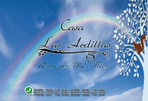 sckar_l10n renta ardilla GIF