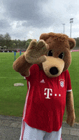 sÃ¤bener hello GIF by FC Bayern Munich