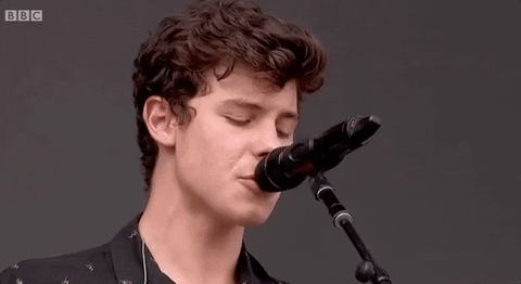 shawn mendes big weekend 2017 GIF by BBC Radio 1âs Big Weekend