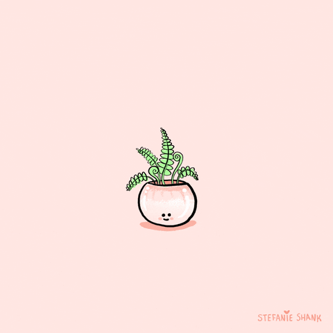 Plant Growth Pink GIF by Stefanie Shank - Find & Share on GIPHY