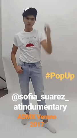 casapicnic  GIF