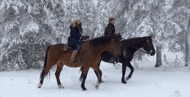 Episode 11 Riding A Horse GIF by The Bachelor