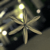 art loop GIF by xponentialdesign