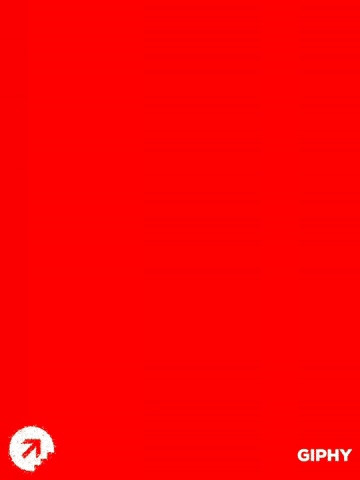 Nescala GIF by NE Scala Frame