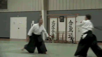 chuseikan defense tampa weapons aikido GIF