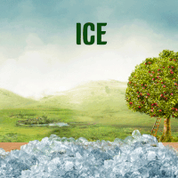 200.gif?cid=fc005b08b953fe4a8fe7b062c916e9be02f4adda5137450b&rid=200.gif&ct=g