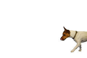 michalcerveny  Sticker