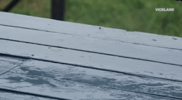 Viceland GIF by Earthworks