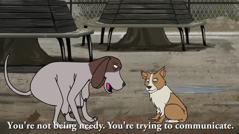 Featured image of post Gif Of Dog Pooping Dogs are pets that express their emotions very clearly