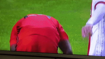 sportlifebet  GIF