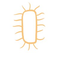 microbe-flagella-xUA7aYT5gSnwd3oiCQ