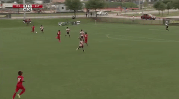 TFCII  GIF