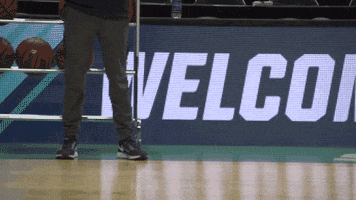 college basketball butler GIF by BIG EAST Conference
