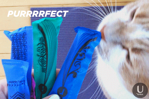 Pms Periods GIF by U by Kotex Brand