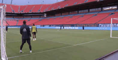 premier league tim howard GIF by Everton Football Club