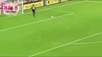 memories  GIF