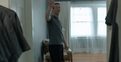tibor  GIF
