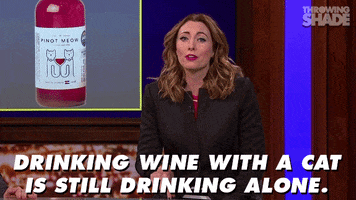 drunk tv land GIF by Throwing Shade