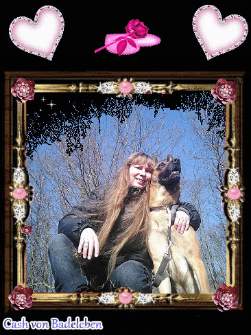 cashvonbadeleben heart dog animal dogs GIF