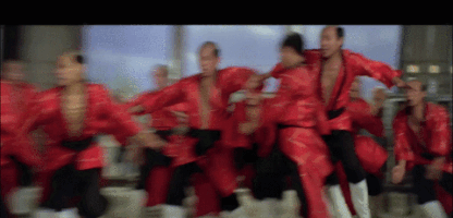 kung fu film GIF by Alpha