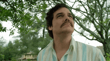 Sad Pablo Escobar GIF by NETFLIX