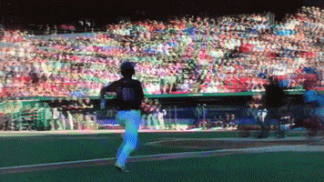 safe GIF by Kane County Cougars