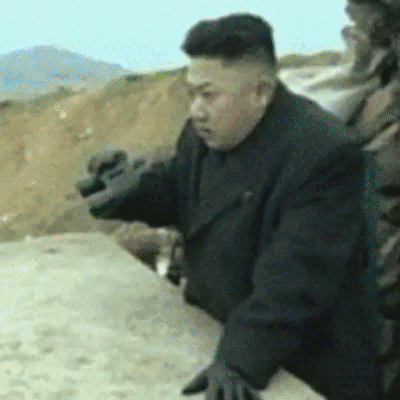 andreicotarta  GIF
