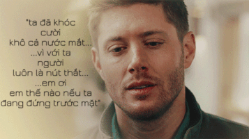 PandaK-3698 sad guy GIF