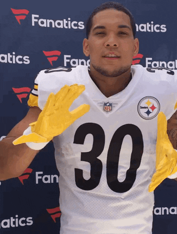 Excited Pittsburgh Steelers GIF by Fanatics