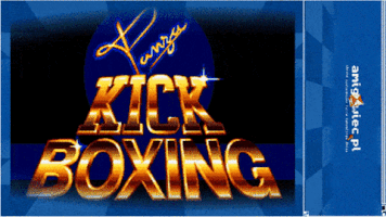 amigowiec game retro fighting kickboxing GIF