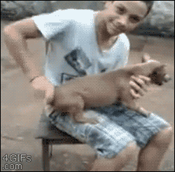 phuongnguyen33  GIF