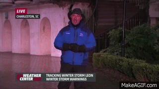 davidblackwelder  GIF