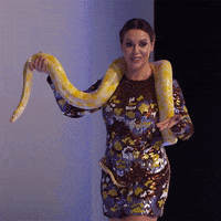 200.gif?cid=fc005b083316be4d5db6b1317770783ec2d5377ca884c5f3&rid=200.gif&ct=g