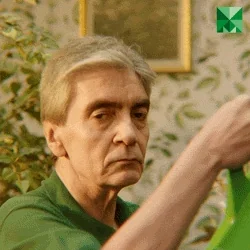 giphy.webp