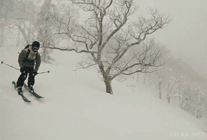 Tree Fail GIF