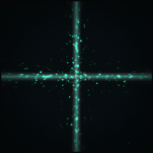 Gif Artist Glow GIF by Erica Anderson Find & Share on GIPHY