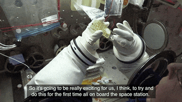 space research GIF by NASA