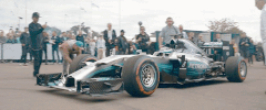 formula 1 racing GIF