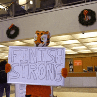 finals GIF by Clemson University