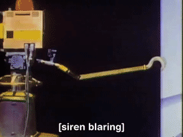 200.gif?cid=fc005b08330cf8426ae028c462aaab4059174df53c76e3d2&rid=200.gif&ct=g