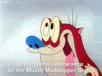 muddy mudskipper