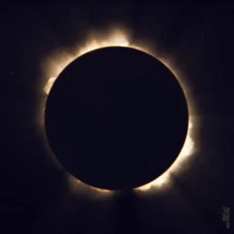 Solar Eclipse Space GIF by NASA