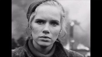 Ingmar Bergman La Vergã¼Enza GIF