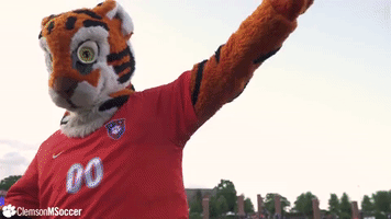 Lets Go Soccer GIF by Clemson Tigers