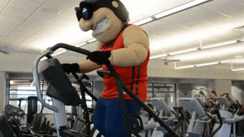 Happy Work Out GIF by Dayton Flyers