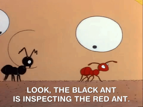 Black Ant Gifs Get The Best Gif On Giphy
