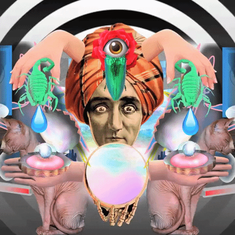 GIF by Anne Horel - Find & Share on GIPHY