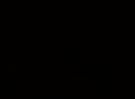 mistermenugif  GIF