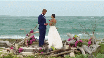 bachelor canada GIF by W Network